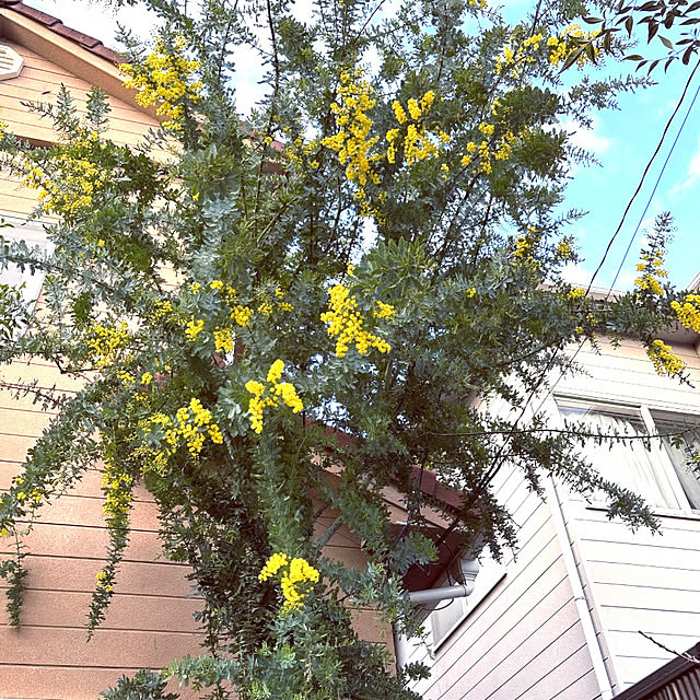 takakoさんの部屋