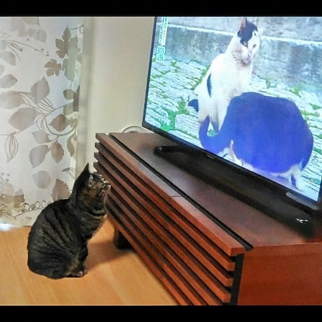 ieさんの実例写真