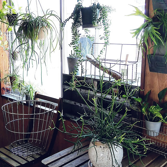 hira_muji_mihiさんの実例写真