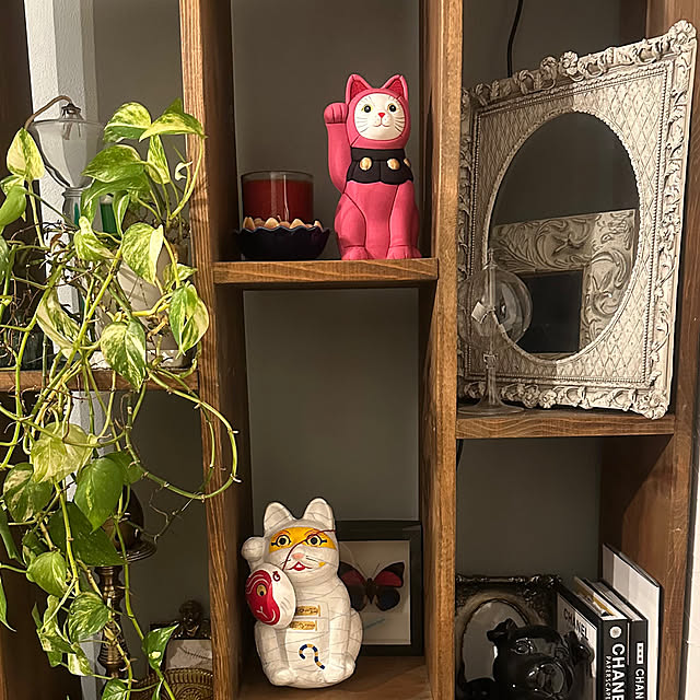 Nomoさんの実例写真