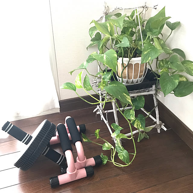 tararaさんの実例写真