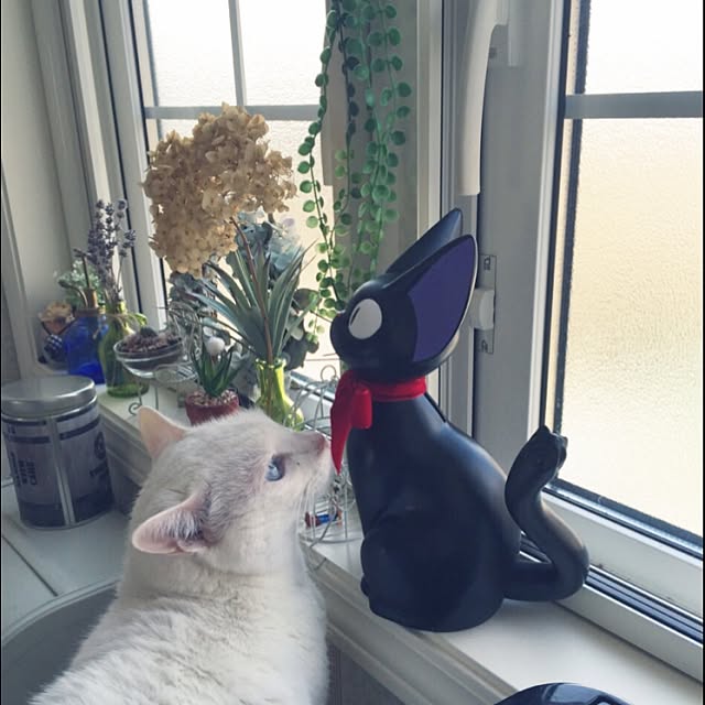 emiさんの実例写真