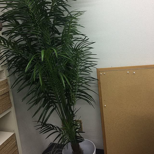 kurousa3syさんの実例写真