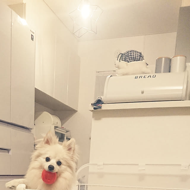 iroshiさんの実例写真