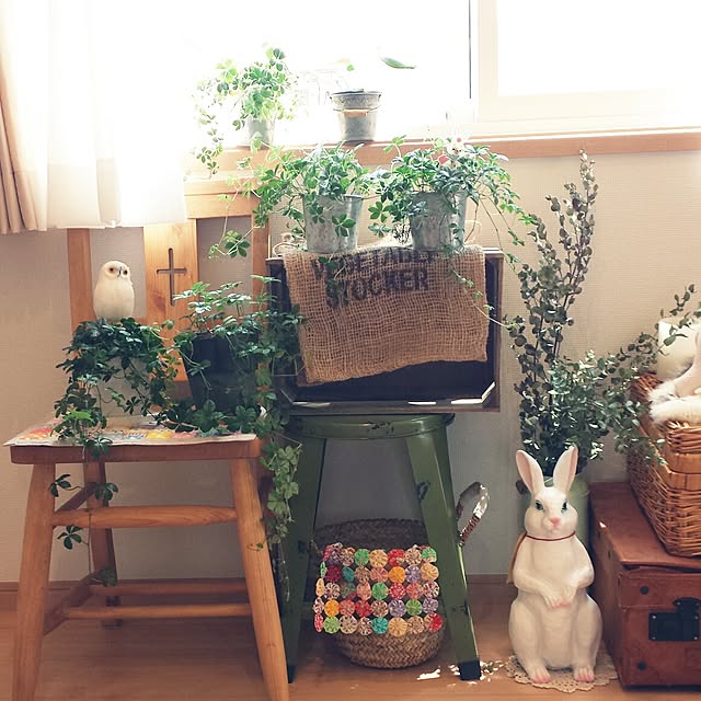 masax_xさんの実例写真