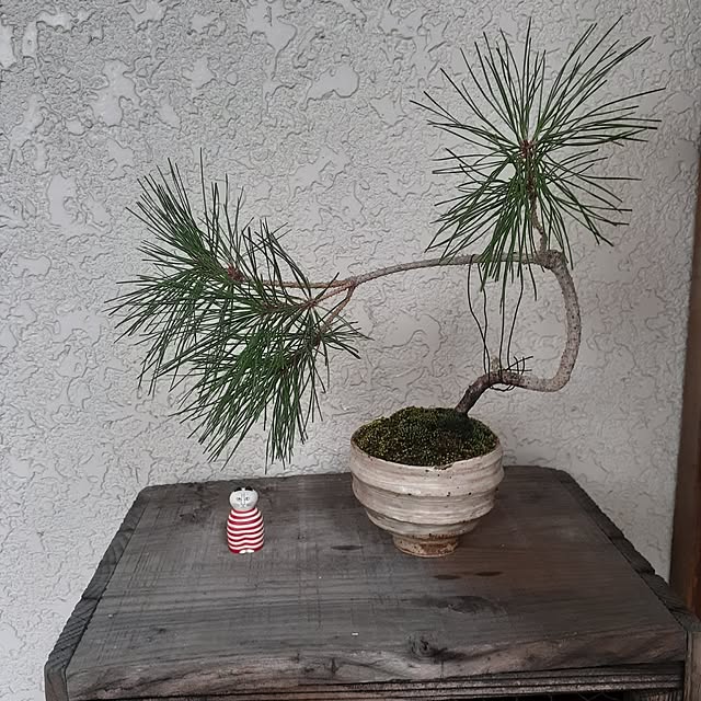 hononoさんの部屋