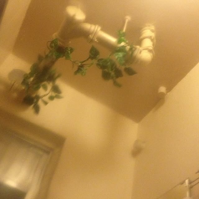 Haomeiさんの実例写真