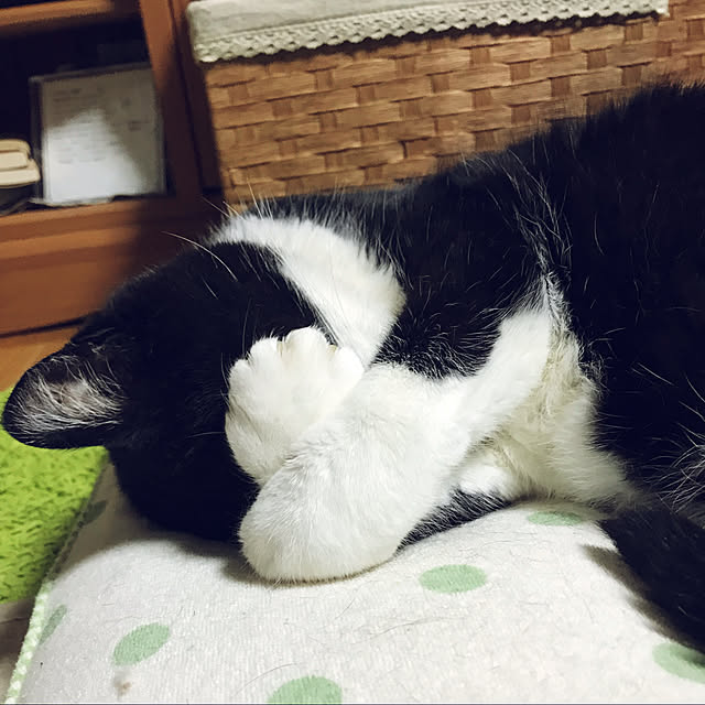 yumigonさんの実例写真