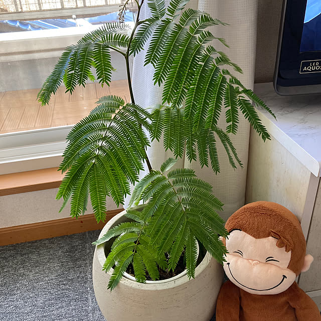 yumさんの実例写真