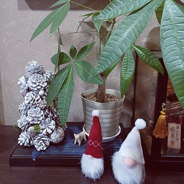 hiro-yさんの実例写真