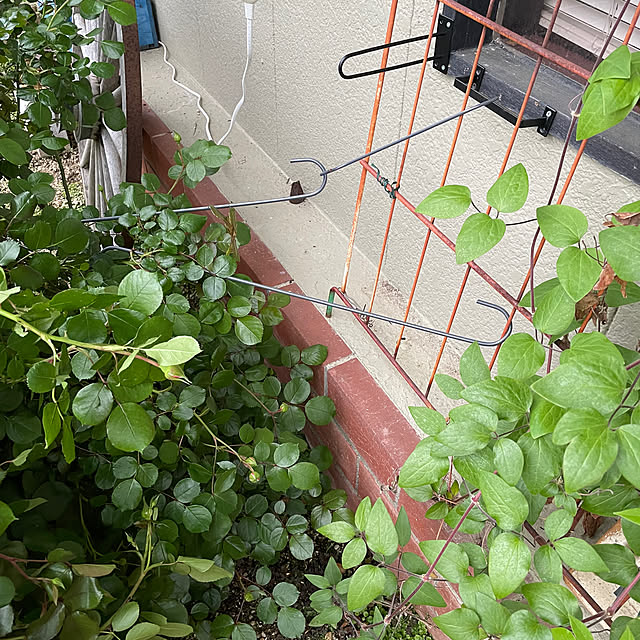 shin0719さんの部屋