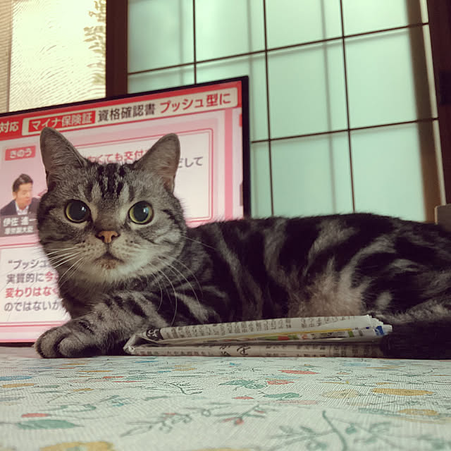 richanさんの実例写真