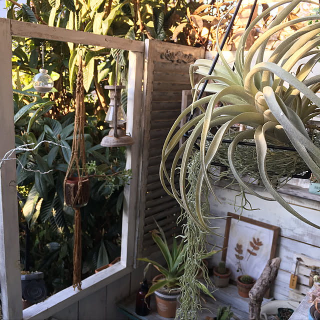 edenさんの実例写真