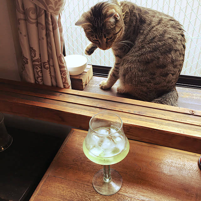 Mさんの実例写真