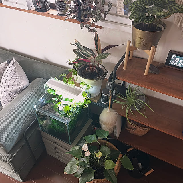 kuroさんの部屋