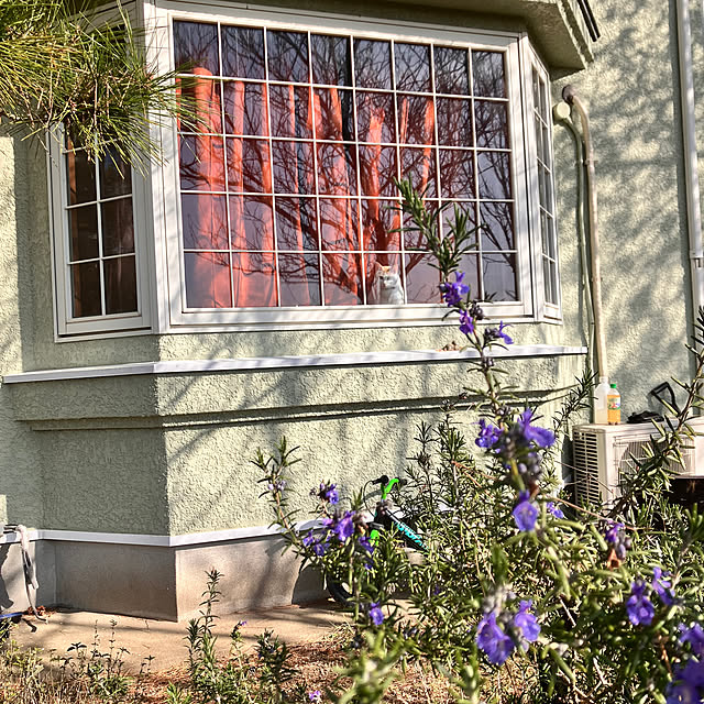 tomorinさんの部屋