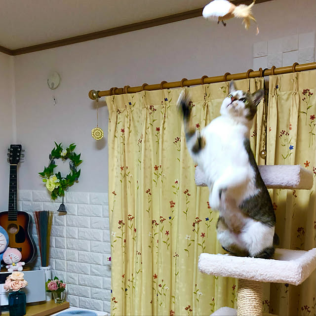 haruminさんの実例写真