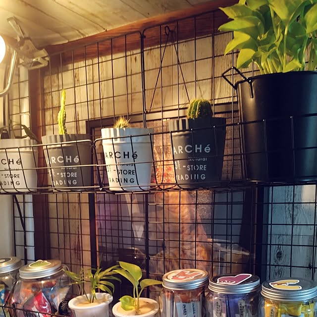 runaさんの部屋