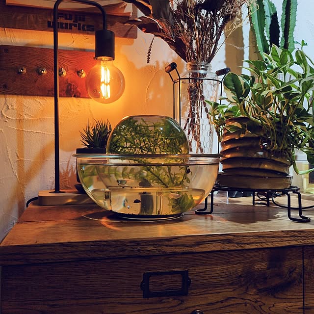 milkyさんの実例写真