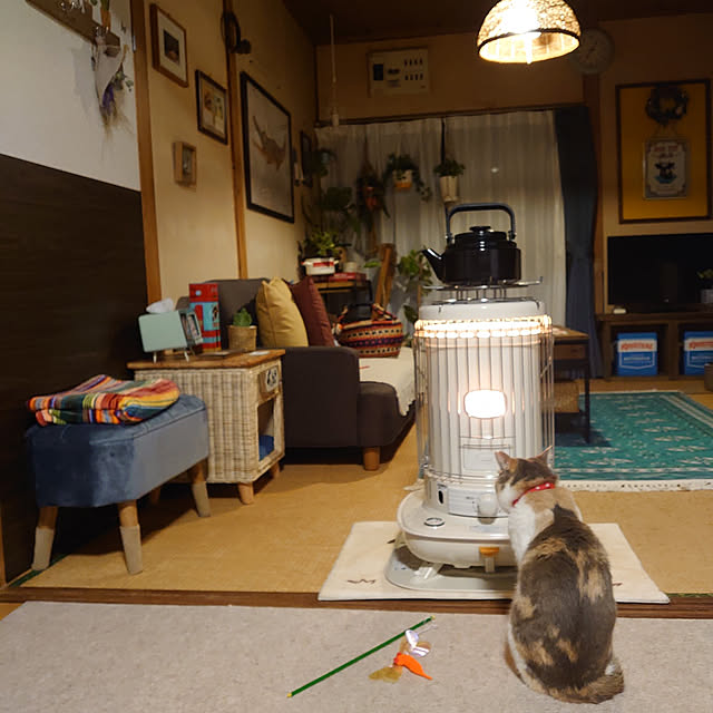 fukuさんの実例写真