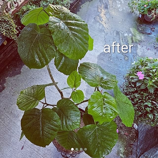 mocomocoさんの部屋