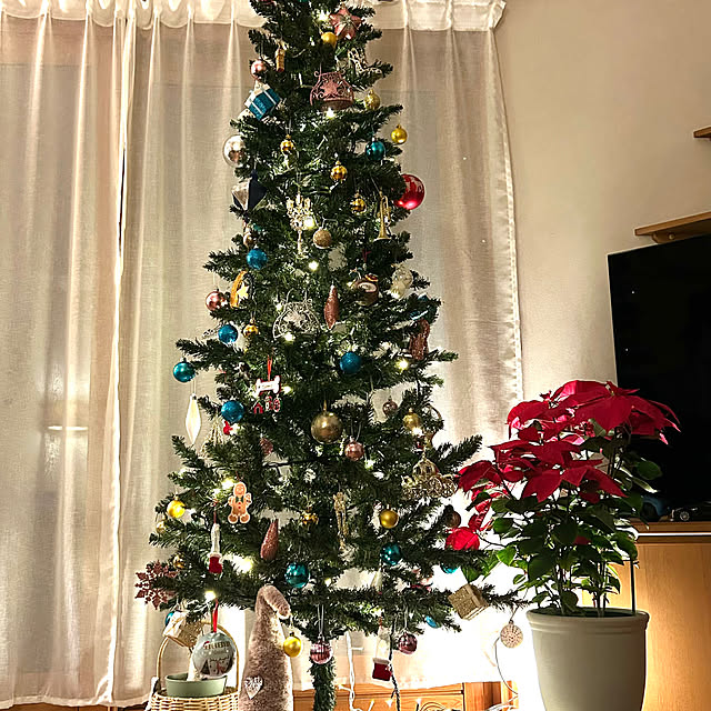 Ochibiさんの部屋