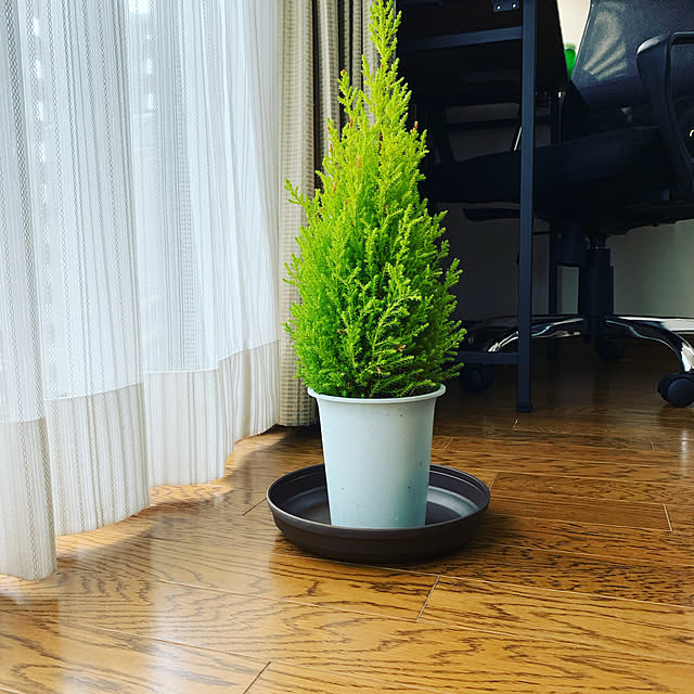 K.TAKAHASHIさんの実例写真
