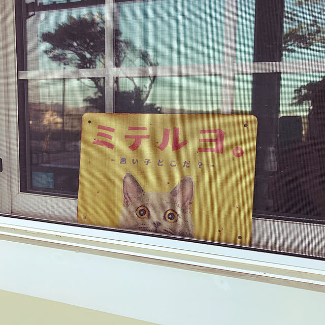 Bambiさんの実例写真
