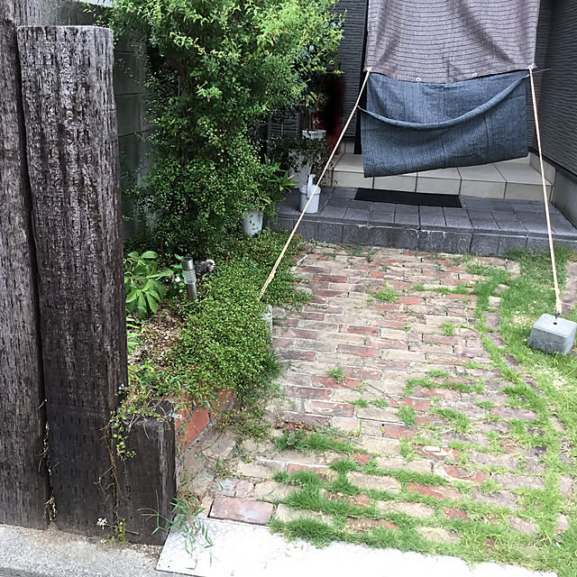 splush1219さんの実例写真