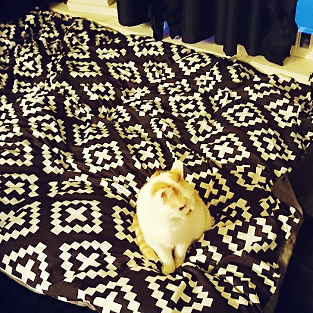 luxgさんの実例写真