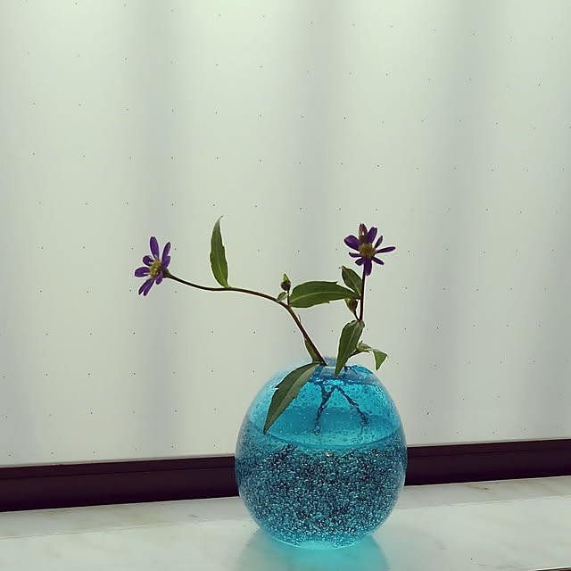 Renさんの実例写真
