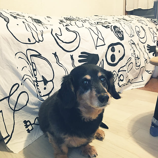 ohanaさんの実例写真