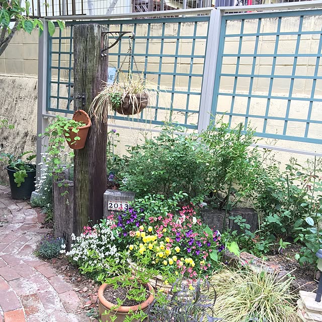 amiさんの実例写真