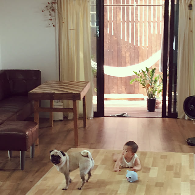 amepuliさんの実例写真
