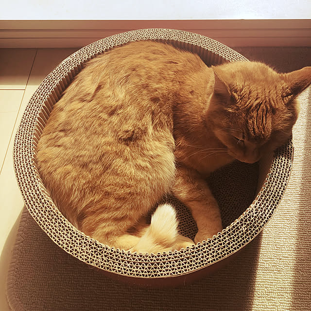 tonoさんの実例写真