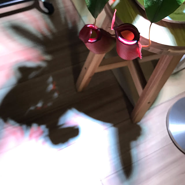 k_roomさんの実例写真