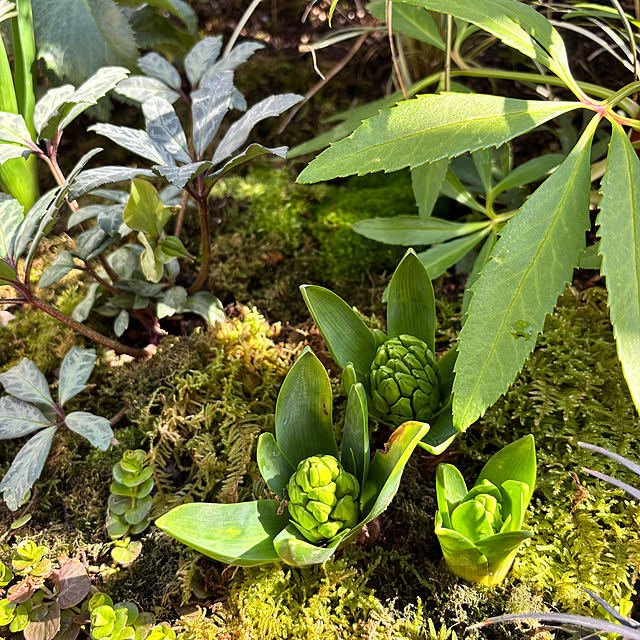 kyoko1124koさんの部屋