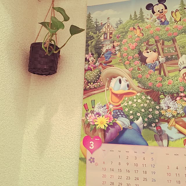 Harukaさんの実例写真