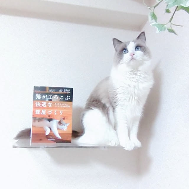 sumishouseさんの実例写真