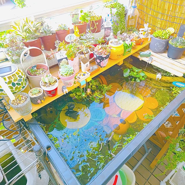 mariaさんの部屋