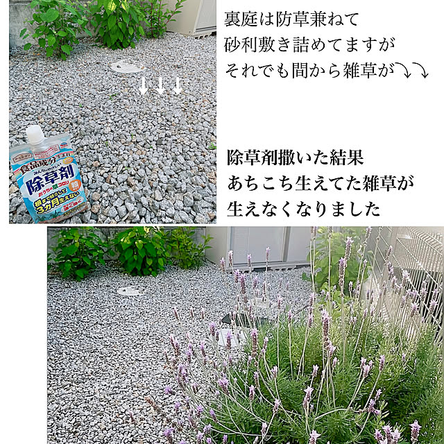 sumichi.f2021さんの実例写真