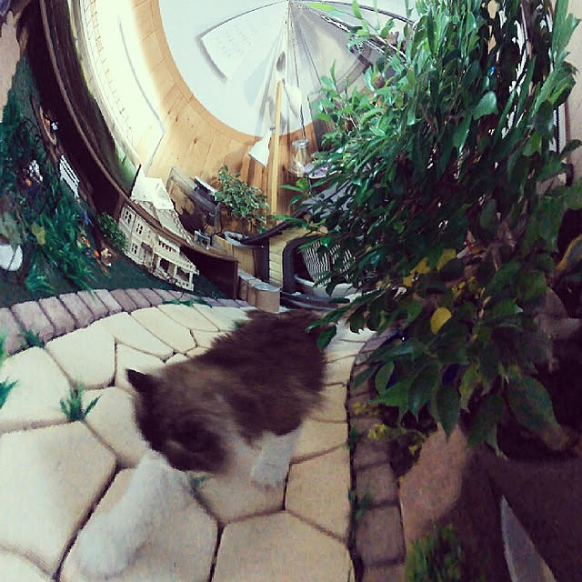 hiroshiさんの実例写真