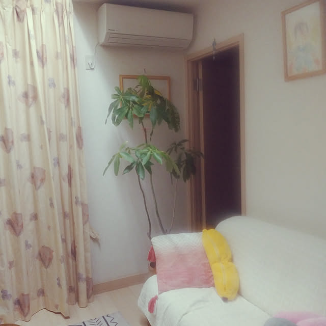 myprinceryuさんの実例写真