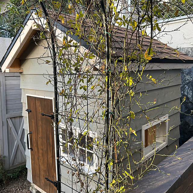 funapiiさんの部屋