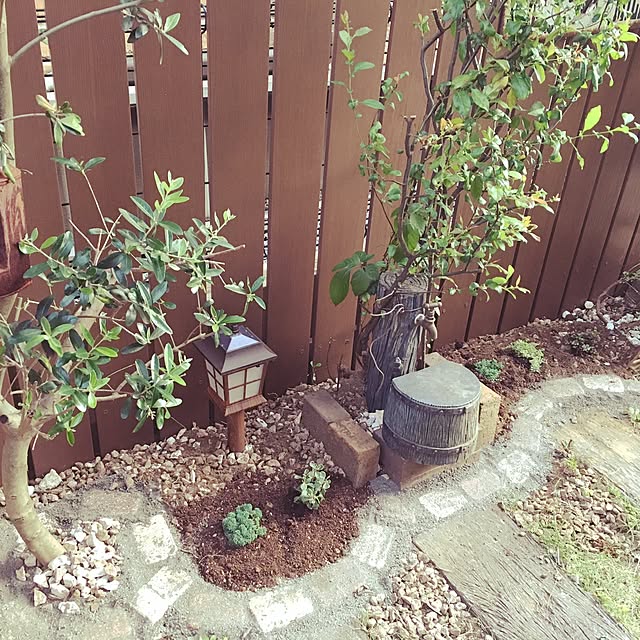 tabasaさんの実例写真