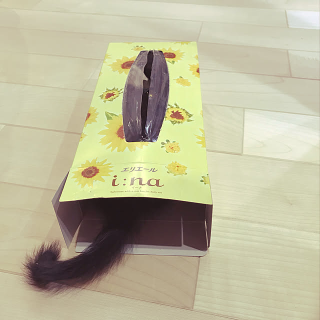 utasさんの実例写真