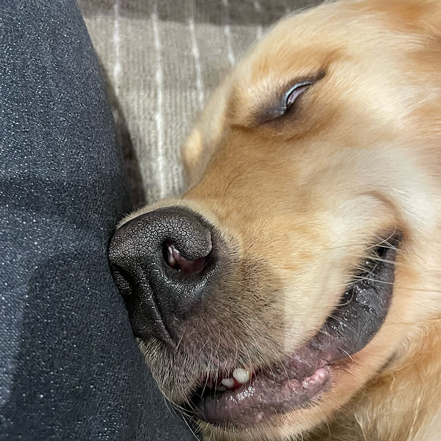 marinkoさんの実例写真
