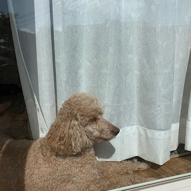 manamaxさんの実例写真