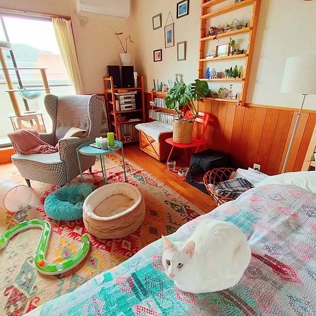 aya_meさんの部屋