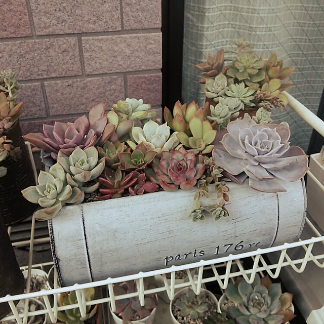 yukiさんの実例写真